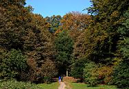 16_03834  sonniger Herbst im Wald von Hamburg Niendorf; der hohe alte Baumbestand hat eine herbstliche Färbung angenommen - zwei Spaziergänger nutzen den sonnigen Herbsttag mit strahlend blauem Himmel  und gehen über einen Trampelpfad in den Herbstwald.   ©www.christoph-bellin.de