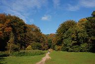 16_03835  Herbstpanorama im Niendorfer Gehege - links und rechts der grossen Wiese stehen die hohen Bume vom Niendorfer Wald, dem Naherholungsgebiet im Hamburger Norden; die Bltter haben ihre Herbstfrbung angenommen und strahlen farbig im Sonnenlicht. Der blaue Hamburg Himmel ist nur mit einigen Federwolken bedeckt.   www.christoph-bellin.de