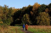 16_03836  Trampelpfad über eine Wiese im Niendorfer Gehege - der herbstliche Wald schimmert in den unterschiedlichen Herbstfarben.