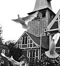 17_21481 Um dem Hochzeitspaar vor der Bergedorfer Kirche Glück für ihre Ehe zu wünschen werden weisse Tauben in die Freiheit gelassen. Sie fliegen vor der Fachwerkkirche aus ihrem Käfig in die Luft. ©www.hamburg-fotograf.com