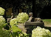 17_21511  Hinter den weissen Blten von Hortensien zwei Sphinx - Skulpturen im Garten des Bergedorfer Rathauses; zwischen den Sphingen fhren in der Gartenanlage Stufen zum  Rathausgebude. Im Hintergrund ist das Bergedorfer Standesamt zu erkennen - die Fenster haben Fensterladen aus Holz. www.hamburg-fotograf.com