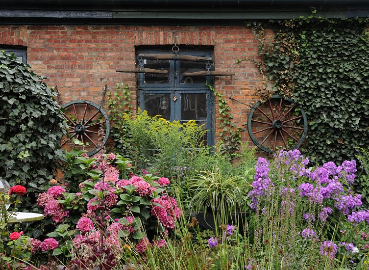 Historisches Handwerksgebude einer alten Bergedorfer Schmiede, das um 1700 errichtet wurde; im Vordergrund ein prchtiger Blumengarten mit Hortensien und Phlox. Die Backsteinfassade der Werkstatt ist mit Efeu bewachsen - an der Mauer hngen zwei Speichenrder aus Holz und am Holzfenster ein Zuggeschirr?.  Hamburg Bilder aus dem Stadtteil Bergedorf - historisches Gebude einer alten Schmiede. 