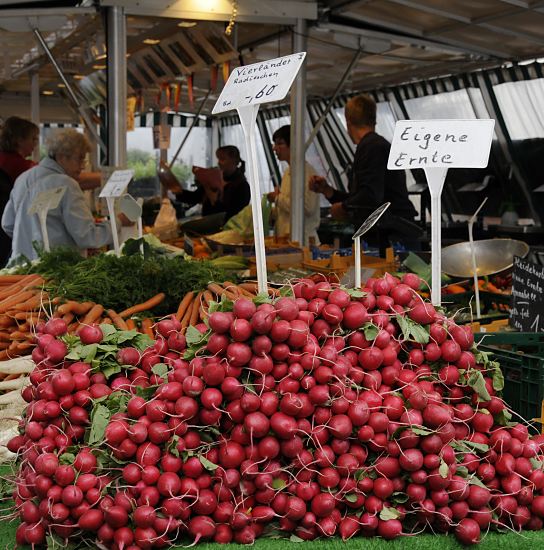 Wochenmarkt in Lohbrgge, Bezirk Hamburg Bergedorf Frische Vierlnder Radieschen liegen hoch gestapelt auf einem Obst- und Gemsestand des Wochenmarktes in Hamburg Lohbrgge. Ein Schild weist die Marktbesucher darauf hin, das Markthndler seine eigene Ernte verkauft.