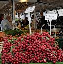 17_21540 Frische Vierländer Radieschen liegen hoch gestapelt auf einem Obst- und Gemüsestand des Wochenmarktes in Hamburg Lohbrügge. Ein Schild weist die Marktbesucher darauf hin, das Markthändler seine eigene Ernte verkauft. ©www.hamburg-fotograf.com