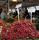 17_21540Frische Vierlnder Radieschen liegen hoch gestapelt auf einem Obst- und Gemsestand des Wochenmarktes in Hamburg Lohbrgge. Ein Schild weist die Marktbesucher darauf hin, das Markthndler seine eigene Ernte verkauft.www.hamburg-fotograf.com