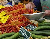 17_21542Gemsestand auf dem Bergedorfer Wochenmarkt - frisches Vierlnder Gemse liegt in Kisten auf dem Verkaufsstand. Im Vordergrund Vierlnder Gurken, dahinter die leuchtend roten Vierlnder Tomaten. Der Markhndler legt gerade Cherrytomaten in die Waagschale.  www.hamburg-fotograf.com