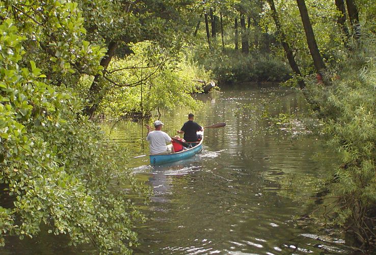 Ein Kanu fhrt die Bille flussabwrts Richtung Bergedorf City - die ste der Erlen und Weiden am Ufer der Bille hngen tief ber den Hamburger Fluss und machen so die Kanutour zu einer recht romantischen Fahrt. Bezirk - Hamburg Bergedorf, Stadtteil Bergedorf - Kanufahrt im Grnen auf der  Bille 