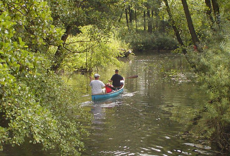 Ein Kanu fhrt die Bille flussabwrts Richtung Bergedorf City - die ste der Erlen und Weiden am Ufer der Bille hngen tief ber den Hamburger Fluss und machen so die Kanutour zu einer recht romantischen Fahrt. Bezirk - Hamburg Bergedorf, Stadtteil Bergedorf - Kanufahrt im Grnen auf der  Bille 