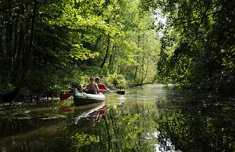 Der Kanal Neuengammer Durchstich verbindet die Dove-Elbe mit der Gose-Elbe; er ist streckenweise sehr flach und verkrautet und darf von Motorbooten nicht befahren werden. Auch in dem Zeitraum vom 15.04.- 15.06. ist wegen der Brutzeit der dort lebenden vielen Vogelarten die Durchfahrt durch den Neuengammer Durchstich fr Kanus gesperrt. Zwei Kanuten paddeln durch den Kanal - die Sommersonne scheint durch das dichte Laub der Bume, die am Ufer des Durchstichs stehen; die ste reichen bis tief zum Wasser . Fotos von Hamburg - Stadt am Wasser - Bilder vom Neuengammer Durchstich, Kanuten. 