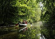 17_21588 Der Kanal Neuengammer Durchstich verbindet die Dove-Elbe mit der Gose-Elbe; er ist streckenweise sehr flach und verkrautet und darf von Motorbooten nicht befahren werden. Auch in dem Zeitraum vom 15.04.- 15.06. ist wegen der Brutzeit der dort lebenden vielen Vogelarten die Durchfahrt durch den Neuengammer Durchstich fr Kanus gesperrt. Zwei Kanuten paddeln durch den Kanal - die Sommersonne scheint durch das dichte Laub der Bume, die am Ufer des Durchstichs stehen; die ste reichen bis tief zum Wasser. www.hamburg-fotograf.com