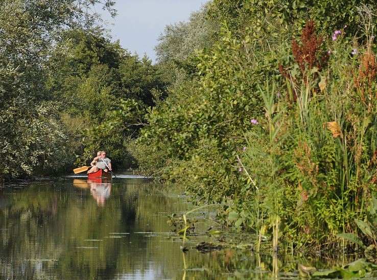 Der Verbindungskanal Neuengammer Durchstich ist eine knstlich geschaffene Wasserstrasse, die die Dove-Elbe mit der Gose-Elbe verbindet - der Durchstich wurde frher wirtschaftlich als Transportweg genutzt; jetzt ist er stark versandet und die Uferbereiche dicht bewachsen, so dass der Kanal nur noch von Kanus befahren werden kann (darf).  Hamburgbilder - Stadt der Kanle und Flsse - Fotos vom Neuengammer Durchstich. 