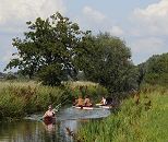 17_21590 Kanuten auf dem Verbindungskanal Neuengammer Durchstich; der Kanal fhrt durch die Wiesen der Vierlande und ist eine beliebte Kanustrecke mit der die Goseelbe und Doveelbe mit dem Boot abgefahren werden kann. www.hamburg-fotograf.com