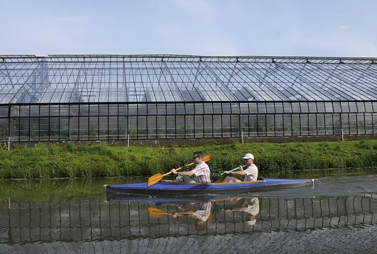 Zwei Kajakfahrer kommen von der Gose-Elbe und fahren in den Neuengammer Durchstich Richtung Dove-Elbe ein. Am Ufer ein grosses Glas Gewchshaus in dem Vierlnder Tomaten angebaut werden.   Fotos von Hamburg am Wasser - Kanle und Flsse - Kajakfahrer in den Vierlanden 