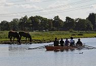 17_21601 Die Dove Elbe verluft durch den Hamburger Bezirk Bergedorf - der Fluss ist ein 18 km langer Nebenarm der Elbe, der schon 1438 mit Deichen und Aufschttungen von der Elbe abgetrennt wurde. Dadurch ist die Dove-Elbe ein sehr ruhiges und idyllisches Gewsser, das ideal fr den Wassersport geeignet ist. Ein Ruderboot fhrt auf dem Fluss - der Doppelvierer mit Steuermann (Steuerfrau?) fhrt gerade an einer Wiese vorbei, auf der zwei Pferde stehen, die aus dem Wasser der Elbe trinken; ein Blesshuhn flchtet vor den Skulls. www.hamburg-fotograf.com