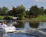 17_21602 Ein Motorboot fährt auf der Doveelbe; die Bootsinsassen sitzen in der Sonne. Am Flussufer steht eine Pferdeherde im Wasser und auf der Weide. ©www.hamburg-fotograf.com