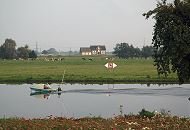 17_21603 Die Dove-Elbe bei Hamburg Allermhe; im Vordergrund eine Blumenwiese, ein kleines Sportboot fhrt ber das stille Wasser der Dove Elbe. Ein Schild am Flussufer weist darauf hin, dass das Anlegen fr Schiffe dort verboten ist. Im Hintergrund ein einsames Wohnhaus am Deich, davor eine Herde Milchkhe auf der Weide. www.hamburg-fotograf.com