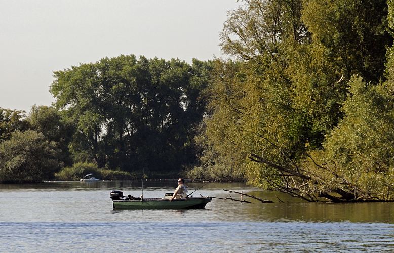 Ein Angelboot in der Morgensonne auf der Dovelelbe bei Hamburg Tatenberg, Bezirk Bergedorf. Der Angler sitzt entspannt auf einem Campingstuhl in seinem Holzboot, dass einen Aussenbordmotor am Heck montiert hat. Einige Angelruten stecken in den Halterungen des kleinen Sportboots.  Bilder von Hamburg, der Stadt am Wasser - Angelboot auf der Dove Elbe