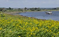 17_21607 Blick vom Neuengammer Hauptdeich im Hamburger Stadtteil Altenwerder, Bezirk Bergedorf. Ein Binnenschiff fhrt auf der Elbe Richtung Schleuse Geesthacht; auf dem Hamburger Elbdeich blhen gelbe Blumen - Steinbuhnen ragen in das Wasser. Die Elbebuhnen haben den Zweck die Fliessgeschwindigkeit im Fahrwasser der Elbe zu erhhen und dadurch auch das Versanden zu reduzieren. In der Bildmitte eine rote Tonne, die dem Schiffsverkehr zu benutzende Fahrwasser auf der Elbe das signalisiert. www.hamburg-fotograf.com