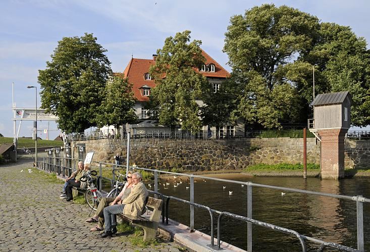 Blick ber die Kaianlage der Zollenspieker Fhre zum Fhrhaus, das zwischen den Bumen versteckt ist. Der Weg ist mit Kopfstein gepflastert - rechts das Pegelhaus; Mwen schwimmen auf dem Wasser   Hamburg Bilder aus Bergedorf / Kirchwerder - Zollenspieker Fhrhaus, Pegelhaus. 