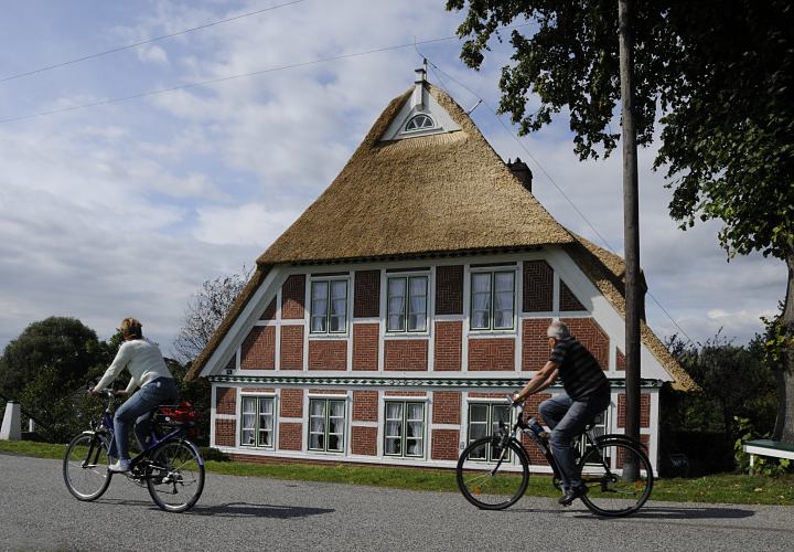 Im Sommer sind die Vier- und Marschlande ein beliebtes Ausflugsziel fr Radtouren. Die Fahrt geht in der Sommersonne auf der Deichkrone an strohgedeckten Bauernhusern vorbei  Fotos von Ausflugsgebiet Hamburg Bergedorf - Radtour auf dem Elbdeich, Bauernhaus