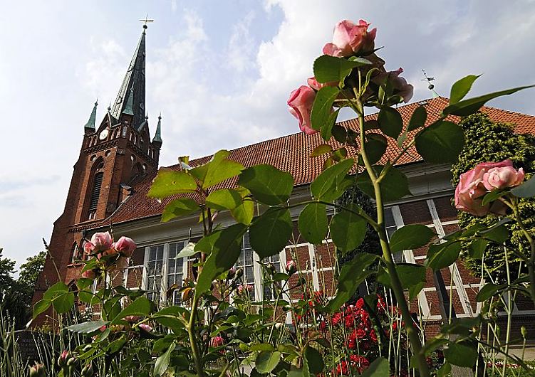 Hamburg Fotografie - Kirche St. Nikolai in Moorfleet, Bezirk Hamburg Bergedorf    Rosen blhen auf dem Kirchhof der St. Nikolaikirche in Hamburg Moorfleet, Bezirk Bergedorf - die Fachwerkkirche St. Nikolai wurde um 1680 erbaut; der Turm um 1885 errichtet.