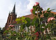 17_21646 Rosen blühen auf dem Kirchhof der St. Nikolaikirche in Hamburg Moorfleet, Bezirk Bergedorf - die Fachwerkkirche St. Nikolai wurde um 1680 erbaut; der Turm um 1885 errichtet.  ©www.hamburg-fotograf.com