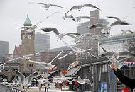 15_5164 Auf der Hafenpromenade der Landungsbrcken fttern Touristen die Mwen. Im Hintergrund der restaurierte Uhr- und Pegelturm der denkmalgeschtzten Anlage. Hamburgs Winter in Bildern -  Touristen fttern Mwen an den St. Pauli Landungsbrcken. 