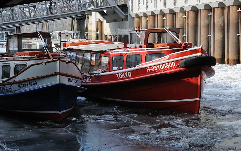 1837 Die Ausflugsbarkassen sind durch starken Frost an ihren Liegepltzen im Hamburger Hafen eingefroren - eine Eisschicht bedeckt das Wasser. 