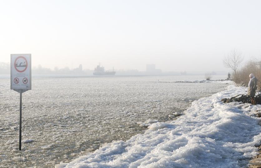 3146 Ein Frachtschiff fhrt Hhe Finkenwerder durch das dichte Eis elbabwrts - das Elbufer ist mit einer Eisschicht bedeckt; Fussgnger gehen auf dem schmalen Uferstreifen und geniessen das schne Winterwetter in Hamburg.