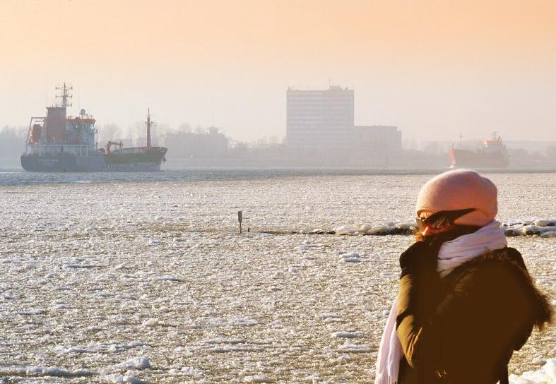 3147 Eine Spaziergngerin blickt vom Elbufer ber das Treibeis auf den Fluss bei Hamburg - Frachtsschiffe fahren auf der Elbe vor Hamburg-Finkenwerder durch das dichte Eis. Der Eisgang behindert die Schifffahrt im Hamburger Hafen.  www.hamburg- fotograf.com