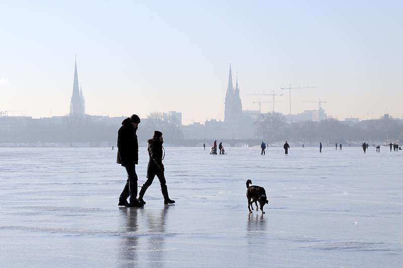 43_5501 Hamburger nutzen das schne Winterwetter und gehen mit ihrem Hund ber das blanke Eis der zugefrorenen Alster. Im Hintergrund die Kennedybrcke und die Trm der St. Petrikirche und St. Nikolaikirche sowie der Turm des Hamburger Rathauses. Hamburgbilder im Winter - Spaziergnger mit Hund auf der zugefrorenen Alster.