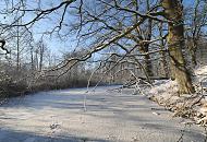 71_2933 Der Hamburger Fluss die Alster liegt zugefroren in der Wintersonne. Kahle schneebedeckte Bume stehen am Ufer der Alster im Stadtteil Hamburg Duvenstedt / Poppenbttel. Winterimpressionen aus Hamburg - der Lauf der Alster bei Poppenbttel.