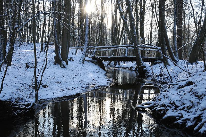 Wintermotive von Hamburg - Holzbrcke am Lauf der Alster bei Poppenbttel.