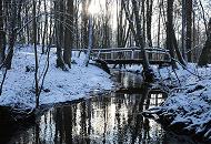 72_2977 Die Alster schlngelt sich durch den Wald bei Hamburg Poppenbttel. Die niedrige Wintersonne strahlt durch die Baumstmme im Poppenbtteler Wald -  eine Holzbrcke fhrt ber den noch schmalen Hamburger Fluss. Wintermotive von Hamburg - Holzbrcke am Lauf der Alster bei Poppenbttel.