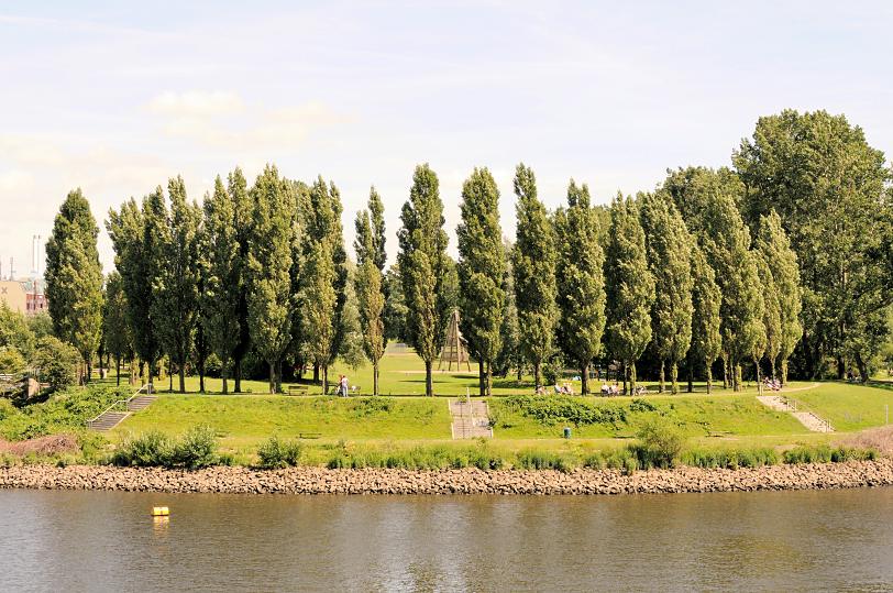 01128_5850 JNaherholungsgebiet Entenwerder Elbpark in Hamburg Rothenburgsort an der Norderelbe. Treppen fhren die Bschung zum Ufer hinunter - SpaziergngerInnen auf dem Gehweg. Parkbesucher sitzen auf Bnken unter Bumen in der Sonne. 