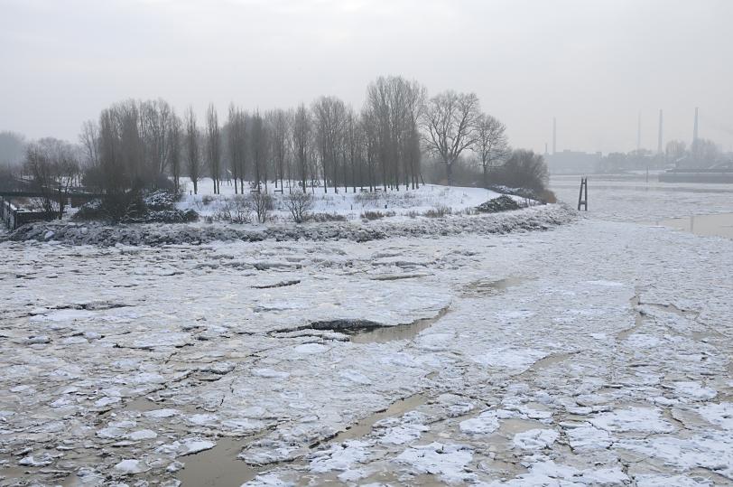 01130_5226 Elbpark Entenwerder in Hamburg Rothenburgsort im Winter - die hohen Bume sind ohne Laub, die Grnanlage ist schneebedeckt. Lks. der ehem. Kai der  Hafenanlage - das Wasser der Elbe ist mit Eisschollen bedeckt / Eisgang auf der Norderelbe.