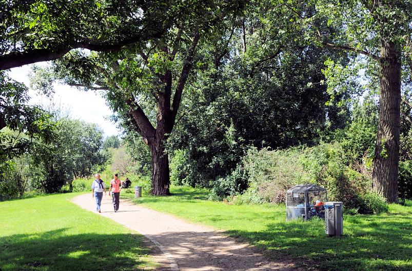 01179_5729 Spaziergänger unter Bäumen in der Sonne im Elbpark Entenwerder auf dem zugeschütteten Becken des Zollhafens in Hamburg Rothenburgsort.