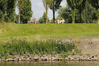 01198_3722 Blick vom Wasser auf die Grnanlage Entenwerder am Ufer der Norderelbe - Sitzbnke unter Bumen. 