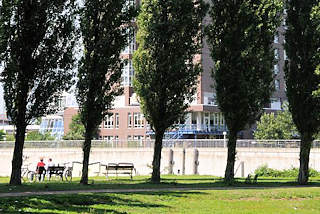 01199_5847 Das Hotel HOLIDAY INN zwischen den hohen Pappeln der Grnanlage Entenwerder in Hamburg Rothenburgsort. Ruhebnke in der Sonne am HAKEN.