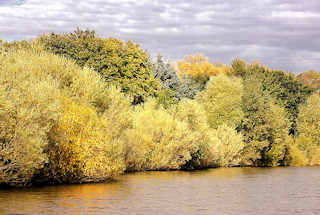 8726 Herbststimmung am Ufer des Schleusengrabens im Hamburger Stadtteil Bergedorf - die Bume am Ufer des Kanals stehen dicht zusammung und sind bunt herbstlich gefrbt.