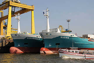 6673 Wulstbug zweier Auflieger - Frachtschiffe im Steinwerder Ellerholzhafen - Fahrgastschiff der Hafenrundfahrt in voller Fahrt.