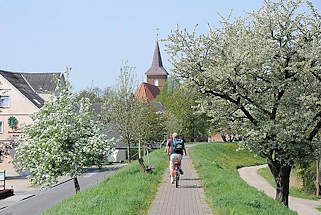 2774 Fahrradfahrer auf dem Deichweg auf der Deichkrone zwischen blhenden Obstbumen - Kirchturm der St. Pankratiuskirche von Hamburg Neuenfelde.