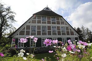 Historisches Fachwerkhaus - Reetdach, Blumen im Vorgarten.  Hamburgs Stadtteile und Bezirke - Bilder von Hamburg OCHSENWERDER, Bezirk Hamburg BERGEDORF. Die Stadt Hamburg kaufte 1395 Ochsenwerder dem Grafen von Holstein ab, um in ihrem Interesse die Elbschifffahrt zu sichern. Das Kirchspiel Ochsenwerder wird durch seinen landwirtschaftlichen Charakter geprgt. Vorherrschend sind der traditionelle Gemseanbau, der durch die Blumenzucht ergnzt wird .Der Stadtteil Ochsenwerder hat eine Flche von 14,1 km auf der ca. 2200 Menschen leben. 