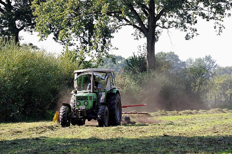 Stadtteil SLLDORF - Bezirk Hamburg ALTONA. Die Siedlungsgeschichte Slldorfs geht auf die vorrmische Zeit zurck. 1256 wird Slldorf als Suldorpe erstmals urkundlich erwhnt. Slldorf lag bis 1927 im Kreis Pinneberg, wurde dann durch das Gro-Altona-Gesetz Stadtteil von Altona/Elbe und fiel mit diesem zusammen 1938 an Hamburg.