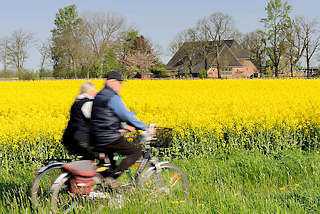 0773 Fahrradfahrer / Paar, Mann und Frau auf Fahrrdern vor einem blhenden Rapsfeld in Haseldorf.