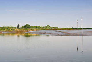 9073 Landschaft Naturschutzgebiet Haseldorfer Binnenelbe - es ist Niedrigwasser, das Watt ist von Prielen durchzogen - Pricken markieren die schmale Fahrrinne.