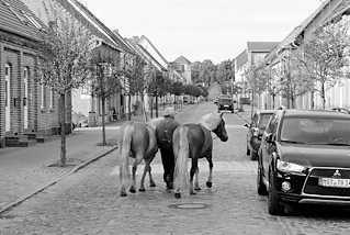 9448 Wohnhuser in der Tpferstrasse von Mirow; Kopfsteinplaster - moderne Autos, zwei Pferde werden am Halfter gefhrt.